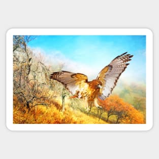 Red-tail Hawk in Autumn Sticker